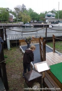 Tuckerton Seaport has a great playground, petting farm, and miniature golf area for the kids to run and play