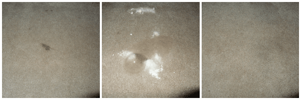 Easy Carpet spot cleaning with ingredients in your kitchen