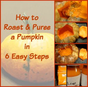 How to roast a pumpkin 6 easy steps