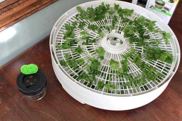 how to preserve herbs by drying with Heather at realthekitchenandbeyond.com