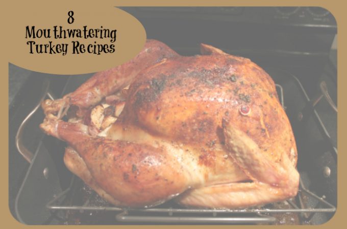 8 turkey recipes for thanksgiving | www.realthekitchenandbeyond.com