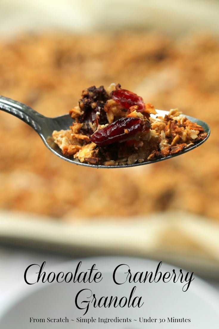 Chocolate Cranberry Homemade Granola Recipe - Real: The Kitchen and Beyond