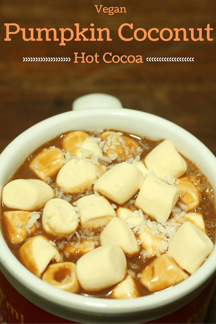 Vegan Pumpkin Coconut Homemade Hot Cocoa Recipe - easy homemade hot cocoa recipe that is allergy friendly, easy, and delicious