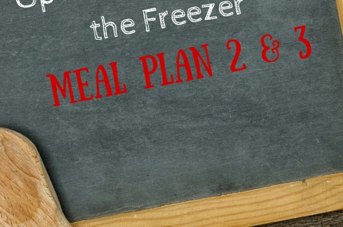 Operation- Eat Down the Freezer- Meal Plan 2 and 3