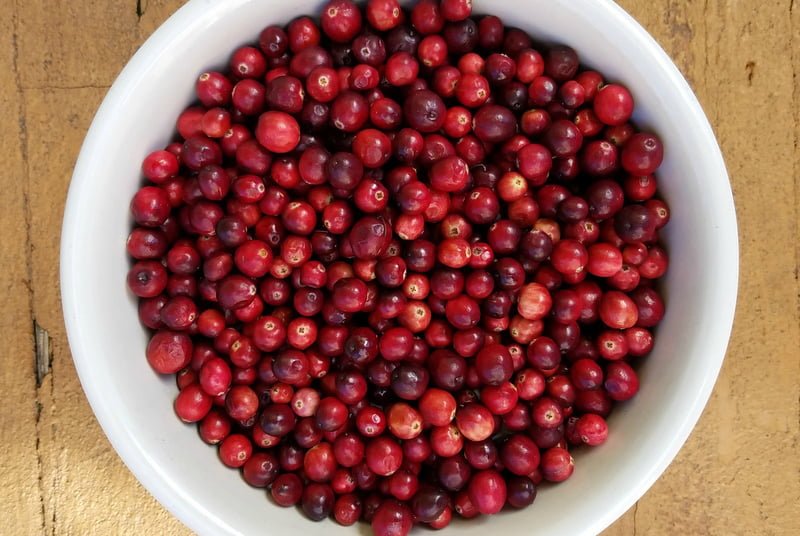 Everything You Need to Know About Cranberries (and then some)