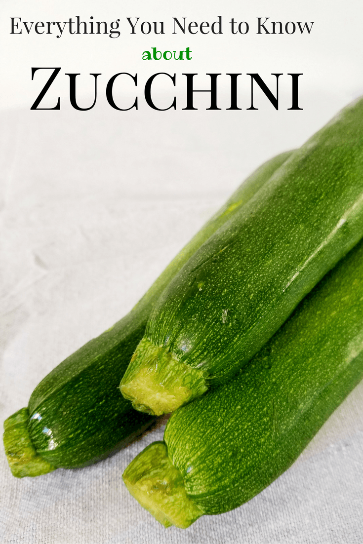 everything you need to know about zucchini