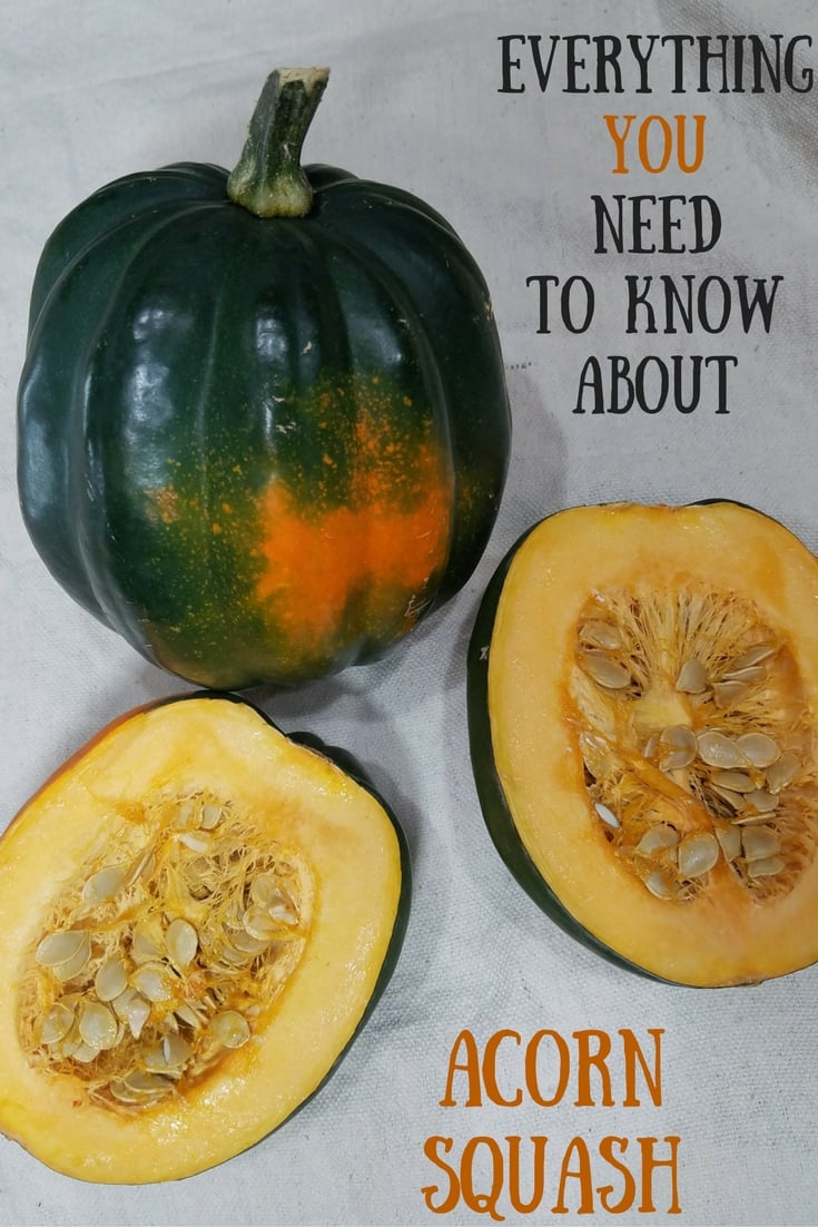 Everything You Need to Know about Acorn Squash