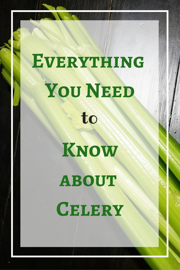 Everything you Need to Know About Celery