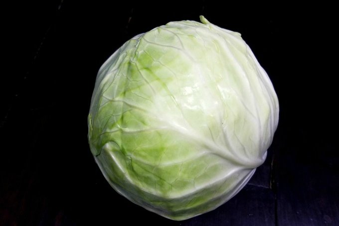 Everything You Need To Know About Cabbage