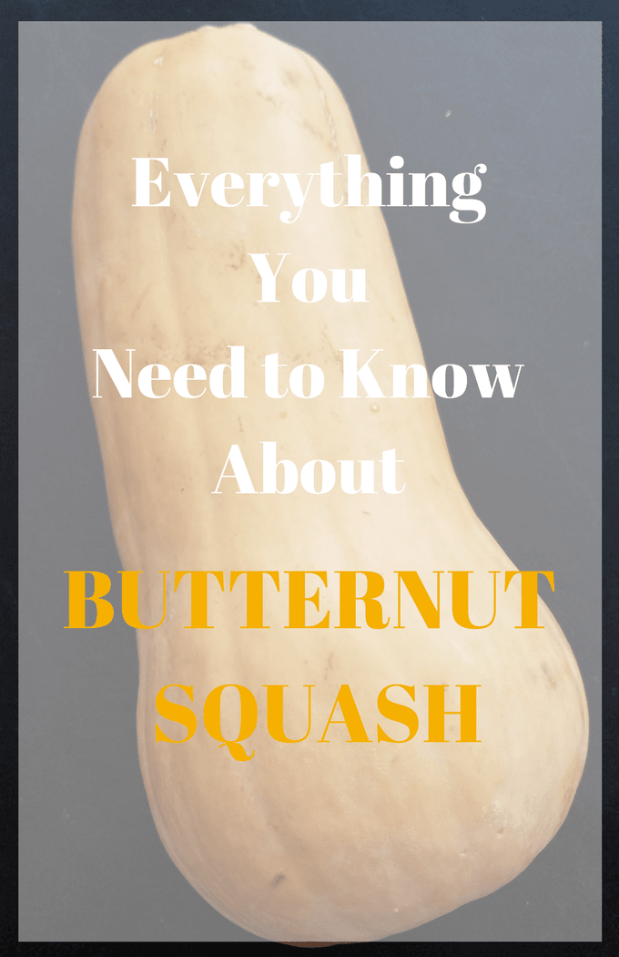 Everything You Need Know About Butternut Squash