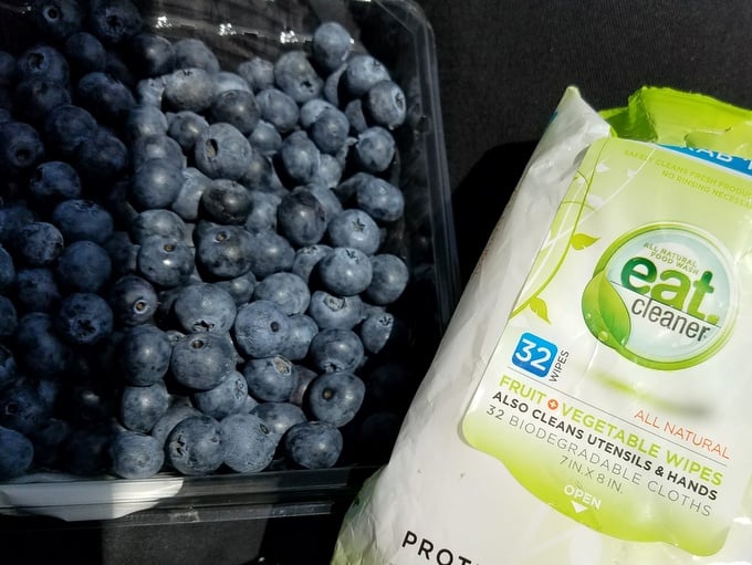 Family Road Trip NH to WA Rainier Fruit Blueberries with Eat Clean Wipes
